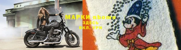 apvp Алексин